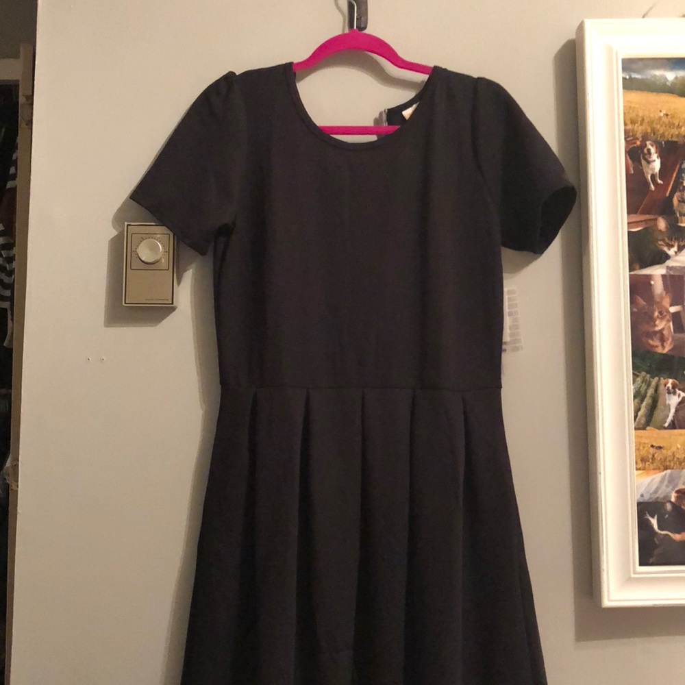 Amelia large lularoe dress